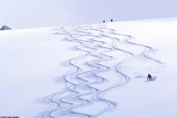 中考体育培训的供需现状分析报告