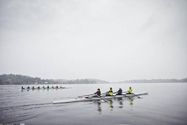 我的狗狗游戏评测:轻松模拟乐趣多